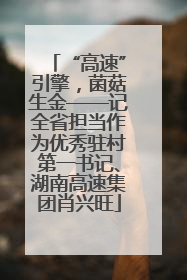 “高速”引擎，菌菇生金——记全省担当作为优秀驻村第一书记、湖南高速集团肖兴旺