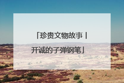 珍贵文物故事丨开诚的子弹钢笔