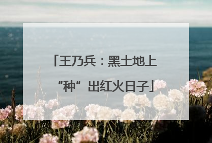 王乃兵：黑土地上“种”出红火日子