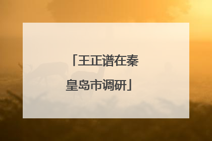 王正谱在秦皇岛市调研