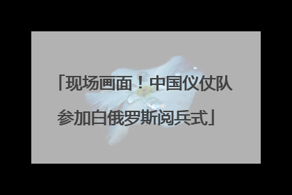 现场画面！中国仪仗队参加白俄罗斯阅兵式
