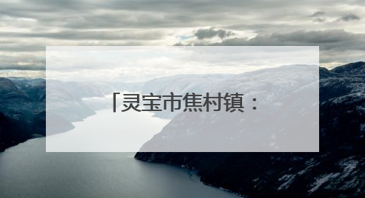 灵宝市焦村镇：粽叶飘香传孝意 志愿温情暖夕阳
