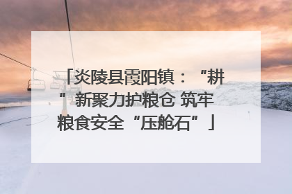 炎陵县霞阳镇：“耕”新聚力护粮仓 筑牢粮食安全“压舱石”