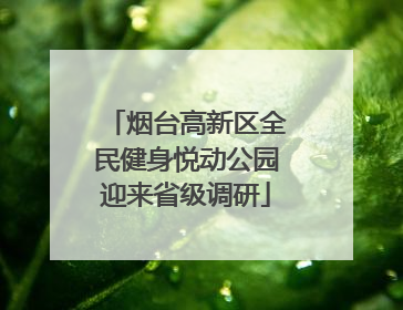烟台高新区全民健身悦动公园迎来省级调研