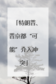 特朗普、普京都“可能”介入冲突