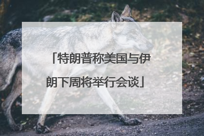 特朗普称美国与伊朗下周将举行会谈