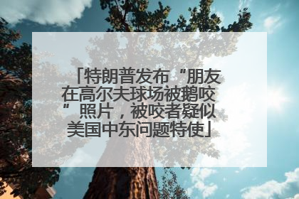 特朗普发布“朋友在高尔夫球场被鹅咬”照片，被咬者疑似美国中东问题特使