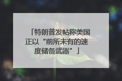 特朗普发帖称美国正以“前所未有的速度储备武器”