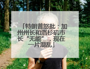 特朗普怒批：加州州长和洛杉矶市长“无能”，现在一片混乱