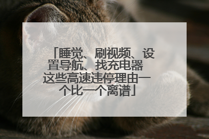 睡觉、刷视频、设置导航、找充电器 这些高速违停理由一个比一个离谱