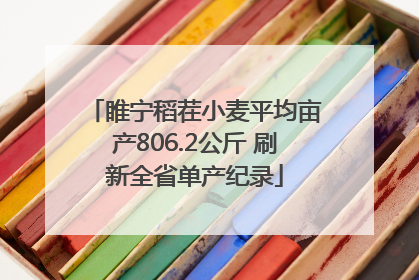 睢宁稻茬小麦平均亩产806.2公斤 刷新全省单产纪录