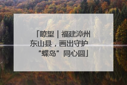 瞭望｜福建漳州东山县，画出守护“蝶岛”同心圆