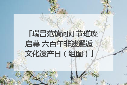 瑞昌范镇河灯节璀璨启幕 六百年非遗邂逅文化遗产日（组图）