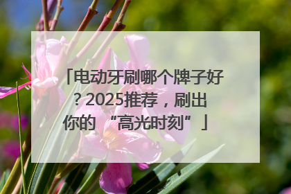 电动牙刷哪个牌子好？2025推荐，刷出你的 “高光时刻”
