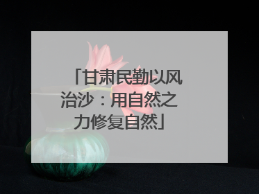 甘肃民勤以风治沙：用自然之力修复自然