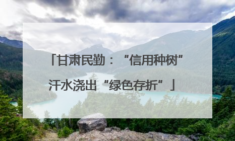 甘肃民勤：“信用种树” 汗水浇出“绿色存折”