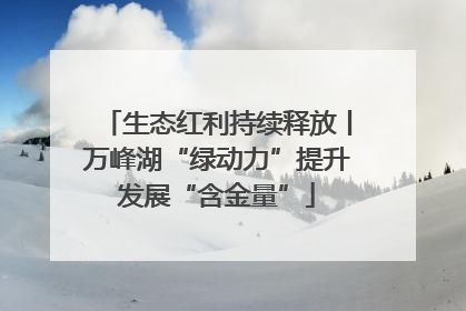 生态红利持续释放丨万峰湖“绿动力”提升发展“含金量”