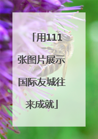 用111张图片展示国际友城往来成就