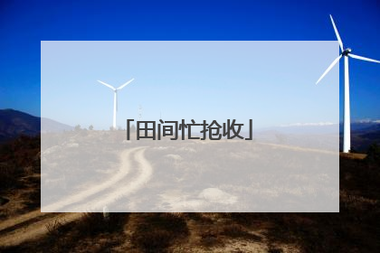 田间忙抢收