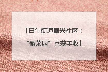 白午街道振兴社区：“微菜园”喜获丰收
