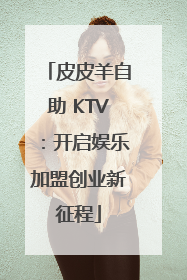 皮皮羊自助 KTV：开启娱乐加盟创业新征程