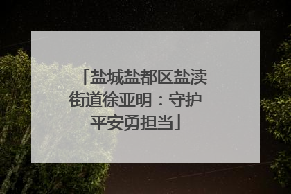 盐城盐都区盐渎街道徐亚明：守护平安勇担当