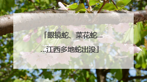 眼镜蛇、菜花蛇……江西多地蛇出没