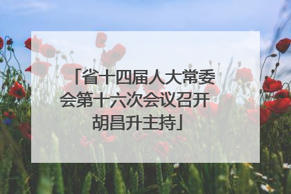 省十四届人大常委会第十六次会议召开 胡昌升主持