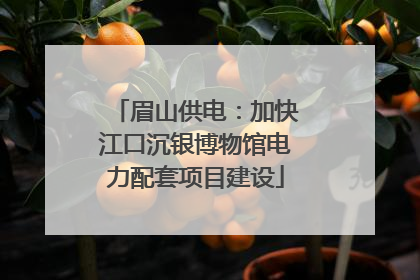 眉山供电：加快江口沉银博物馆电力配套项目建设