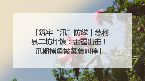 筑牢“汛”防线｜慈利县二坊坪镇：雷霆出击！汛期捕鱼被紧急叫停