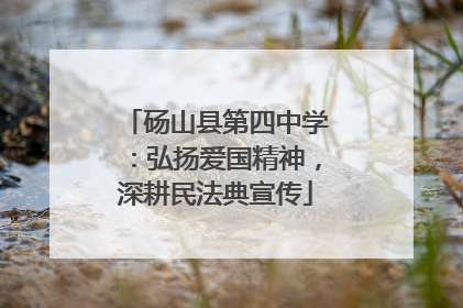 砀山县第四中学：弘扬爱国精神，深耕民法典宣传