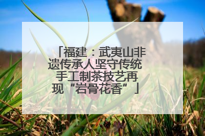 福建：武夷山非遗传承人坚守传统 手工制茶技艺再现“岩骨花香”