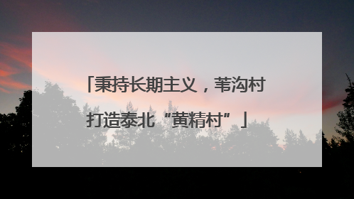 秉持长期主义，苇沟村打造泰北“黄精村”