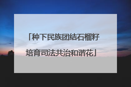 种下民族团结石榴籽 培育司法共治和谐花