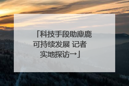 科技手段助麋鹿可持续发展 记者实地探访→