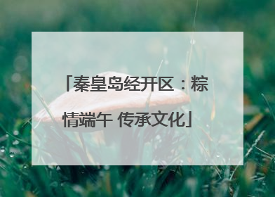 秦皇岛经开区：粽情端午 传承文化