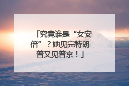 究竟谁是“女安倍”？她见完特朗普又见普京！