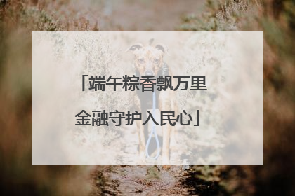 端午粽香飘万里 金融守护入民心