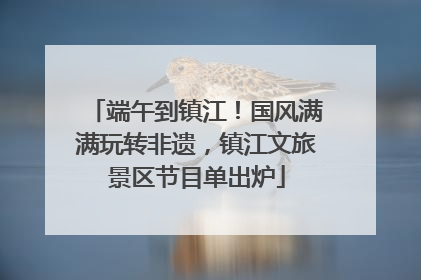 端午到镇江！国风满满玩转非遗，镇江文旅景区节目单出炉