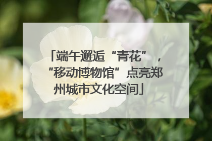 端午邂逅“青花”，“移动博物馆”点亮郑州城市文化空间