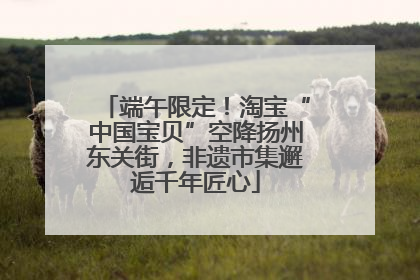 端午限定！淘宝“中国宝贝”空降扬州东关街，非遗市集邂逅千年匠心