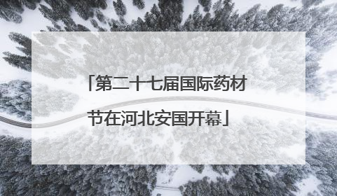 第二十七届国际药材节在河北安国开幕
