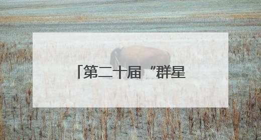 第二十届“群星奖” 泉州市四个作品入围复评