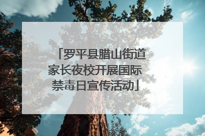 罗平县腊山街道家长夜校开展国际禁毒日宣传活动