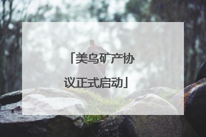 美乌矿产协议正式启动