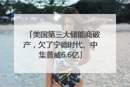 美国第三大储能商破产，欠了宁德时代、中集普威6.6亿