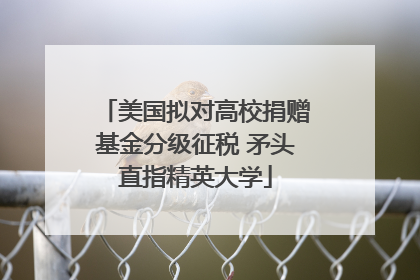 美国拟对高校捐赠基金分级征税 矛头直指精英大学