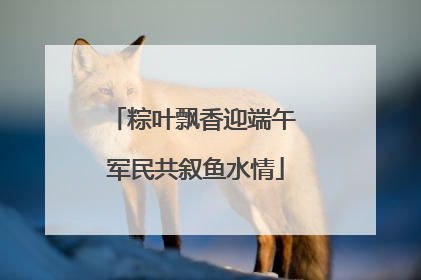 粽叶飘香迎端午 军民共叙鱼水情