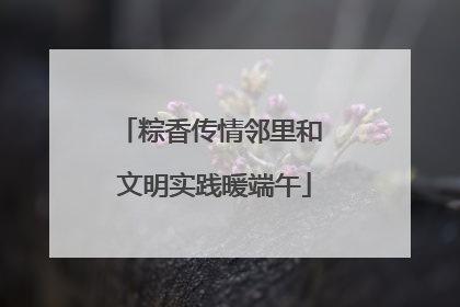 粽香传情邻里和 文明实践暖端午