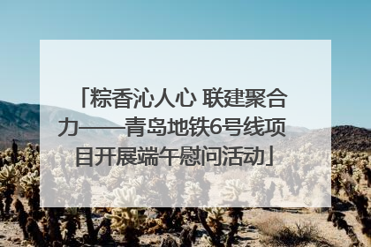 粽香沁人心 联建聚合力——青岛地铁6号线项目开展端午慰问活动